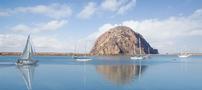 Whale watching passes for four & $50 gift certificate to Hofbrau in Morro Bay 202//90